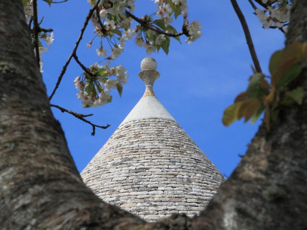 Pietraluce Pensionat Alberobello Exteriör bild
